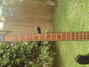 Rickenbacker 4003/4 Shadow, Jetglo: Neck - Front