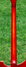 Rickenbacker 4001/4 , Fireglo: Neck - Rear