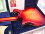 Rickenbacker 660/12 TP, Fireglo: Full Instrument - Rear