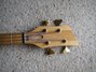 Rickenbacker 2060/4 , Fireglo: Headstock