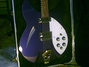 Rickenbacker 330/12 , Midnightblue: Free image2