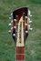 Rickenbacker 660/12 , MonteBrown: Headstock