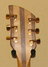 Rickenbacker 380/6 Laguna piezo, Natural Walnut: Headstock - Rear