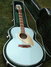 Rickenbacker 700/12 PW Build (acoustic), Blue Boy: Free image