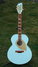 Rickenbacker 700/12 PW Build (acoustic), Blue Boy: Full Instrument - Front