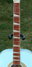 Rickenbacker 700/12 PW Build (acoustic), Blue Boy: Neck - Front