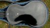 Dec 1935 Rickenbacker B/6 LapSteel, Black: Body - Rear
