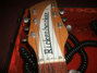 Rickenbacker 310/6 f hole, Mapleglo: Headstock