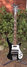 Rickenbacker 4001/4 Mod, Jetglo: Full Instrument - Front