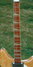 Rickenbacker 370/12 RM, Mapleglo: Neck - Front
