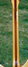 Rickenbacker 370/12 RM, Mapleglo: Neck - Rear