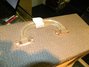 Rickenbacker M-8/amp Mod, Gray: Close up - Free2