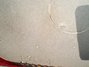 Rickenbacker 102/8 LapSteel, Blonde: Free image2
