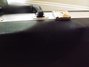 Rickenbacker 4003/4 , Fireglo: Close up - Free