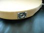 Rickenbacker 330/6 , Mapleglo: Close up - Free
