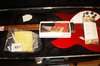 Rickenbacker 330/6 , Ruby: Close up - Free2