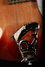 Rickenbacker 330/12 , Fireglo: Close up - Free
