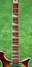 Rickenbacker 660/6 , MonteBrown: Neck - Front