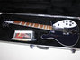 Rickenbacker 620/12 , Midnightblue: Free image
