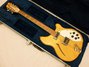 Rickenbacker 360/12 , Mapleglo: Full Instrument - Rear