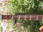 Rickenbacker 365/6 , Fireglo: Neck - Front
