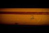 Rickenbacker 4001/4 , Mapleglo: Neck - Rear