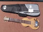 Rickenbacker SD/6 LapSteel, Brown: Full Instrument - Front