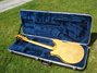 Rickenbacker 360/6 BH BT, Mapleglo: Full Instrument - Rear