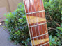 Rickenbacker 360/6 , Mapleglo: Neck - Front