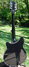 Rickenbacker 360/12 , Jetglo: Full Instrument - Rear
