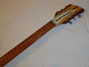Rickenbacker 330/6 , Mapleglo: Headstock