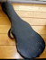 Rickenbacker NS 100/6 LapSteel, Silver: Close up - Free