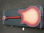 Rickenbacker 360/6 , Fireglo: Full Instrument - Rear