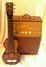 Rickenbacker BD/6 Bronson, Brown: Full Instrument - Front