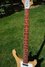 Rickenbacker 4001/4 V63, Mapleglo: Neck - Front