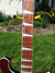 Rickenbacker 620/6 , Ruby: Neck - Front
