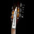 Rickenbacker 381/12 V69, MonteBrown: Free image