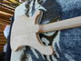 Rickenbacker 4003/4 , Mapleglo: Full Instrument - Rear