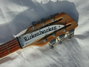 Rickenbacker 360/12 , Mapleglo: Headstock