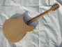 Rickenbacker 360/12 , Mapleglo: Full Instrument - Rear