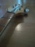 Rickenbacker 4003/4 , Mapleglo: Free image