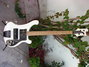 Rickenbacker 4003/4 S BH, White: Full Instrument - Front