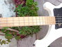 Rickenbacker 4003/4 S BH, White: Neck - Front