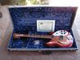 Rickenbacker 360/12 CW, Fireglo: Free image2