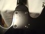 Rickenbacker 2030/4 GF, Jetglo: Close up - Free