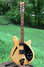 Rickenbacker 360/12 BH BT, Mapleglo: Full Instrument - Front