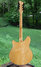 Rickenbacker 360/12 BH BT, Mapleglo: Full Instrument - Rear