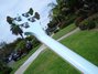 Rickenbacker 4003/4 , Blue Boy: Neck - Rear
