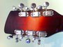 Rickenbacker 660/12 TP, Fireglo: Headstock - Rear