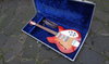 Rickenbacker 345/6 S, Fireglo: Neck - Front